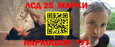 шишки Лесосибирск