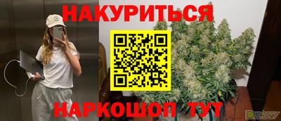 шишки Лесосибирск