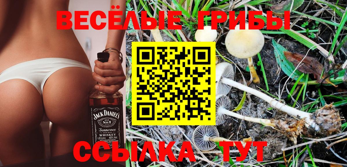 Галлюциногенные грибы Psilocybine cubensis  Вход с VPN  цены   Тавда 