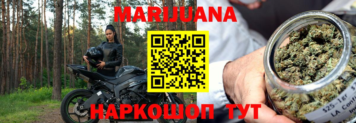 МАРИХУАНА сатива Тавда